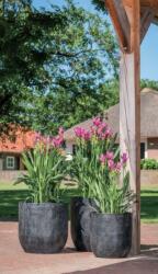 NDT Colorado 04Z Black Set Of 4 kerámia növénytartó szett