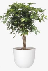 Artevasi Havana Natural 30 cm műanyag növénytartó Granite