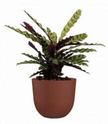 Artevasi Havana Natural 40 cm műanyag növénytartó Brown Terracotta