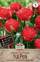 Sperli Gefüllte Frühe Tulpe Pamplona korai teltvirágú tulipán virághagyma