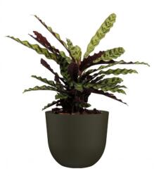 Artevasi Havana Natural 40 cm műanyag kaspó Moss Green