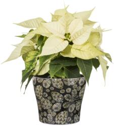 Scheurich 808/15 Royal Glimmer 15 cm kerámia növénytartó