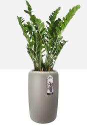 elho Pure Beads Large 40 cm Bal Beige műanyag kaspó