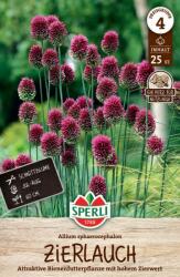 Sperli Zierlauch sphaerocephalon díszhagyma virághagyma