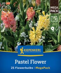 kiepenkerl Pastel Flower virághagyma keverék