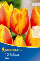 kiepenkerl Tulipa Flair korai egyszerű-virágú tulipán virághagymák