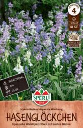 Sperli Hasenglöckchen Mischung kékcsengő virághagyma összeállítás