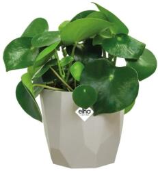 elho B. For Rock 18 Warm Grey