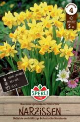 Sperli Botanische Narzisse Tete a Tete botanikai nárcisz virághagyma
