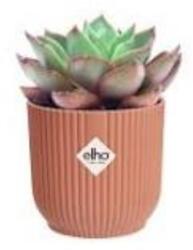 elho vibes fold round mini 9 cm delicate pin műanyag növénytartó
