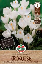 Sperli Gartenkrokus Jeanne d"Arc nagyvirágú krókusz virághagyma