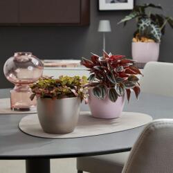 Soendgen Keramik Basel Elegance greige metallic 12