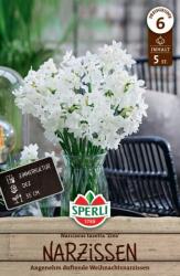 Sperli Tazetta-Narzisse Ziva botanikai nárcisz virághagyma