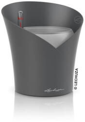 Lechuza Orchidea kaspó