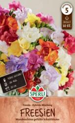 Sperli teltvirágú Frézia virághagyma színkeverék