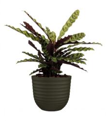 Artevasi Havana Waves 50 cm műanyag növénytartó Moss Green