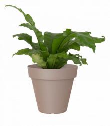 Artevasi Capri 60 cm műanyag növénytartó Taupe