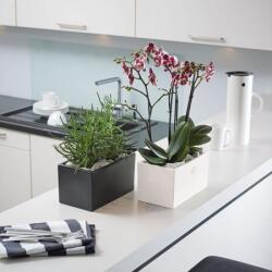 Soendgen Keramik Latina Duett Sh White 25X14X14