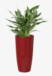 Artevasi Santorini 33/65 cm Self Water Dark red önöntöző műanyag kaspó