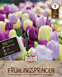 Sperli Frühlingsgarten Frühlings-Princen korai egyszerű virágú tavaszi tulipán virághagyma keverék