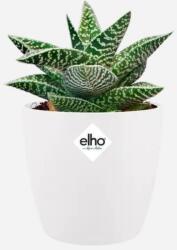 elho Brussels Round Mini 12, 5 cm White, műanyag kaspó