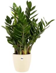 elho Brussels Round Wheels 47 cm Soap, műanyag kaspó