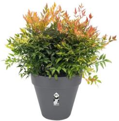 elho Loft Urban Round 70 Anthracite