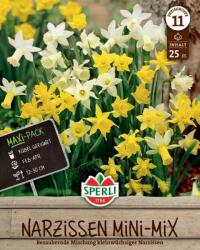Sperli Maxi Narzissen Botanischer Mix botanikai nárcisz virághagyma mix