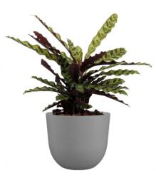 Artevasi Havana Natural 70 cm műanyag növénytartó Limestone Grey