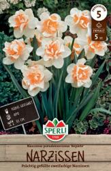 Sperli Gefüllte Narzisse Replete teltvirágú nárcisz virághagyma