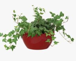 Artevasi San Remo Bowl 32 cm műanyag tál Dark Red