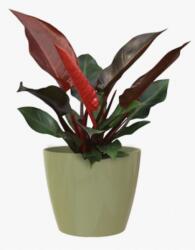 Artevasi San Remo 9 cm műanyag növénytartó Eucalyptus Green