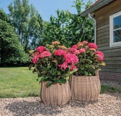 NDT Kensington 01I Beige Set Of 2 kerámia növénytartó szett