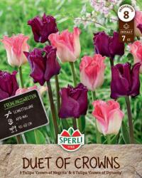 Sperli Frühlingsgarten Duet of Crowns tavaszi koronavirágú tulipán virághagyma keverék