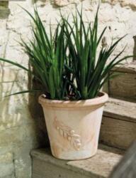 Deroma Cilindro Olive 38 cm agyag növénytartó