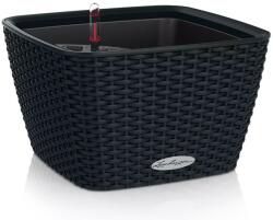 Lechuza BACINO Cottage - All-In-One graphite black