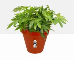 elho Loft Urban Round Wheels 50 cm Brique műanyag kaspó