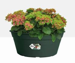 elho Green Basics Bowl 33 Leaf Green