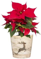 Scheurich 778/14 Jumping Deer 14 cm kerámia növénytartó