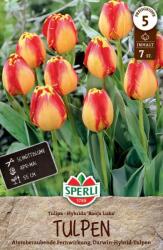 Sperli Darwin-Hybrid-Tulpe Banja Luka darwin-hibrid tulipán virághagyma