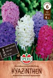 Sperli Mischung jácint virághagyma keverék - oazis - 1 592 Ft