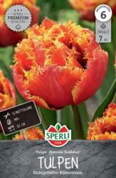Sperli Premium Gefranste Tulpe Golddust rojtosvirágú telt tulipán virághagyma