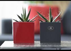 Soendgen Keramik Latina Sh Bordeaux 24