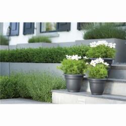 elho Green Basics Campana 50 Lime Green