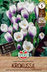 Sperli Wildkrokus Prins Claus botanikai krókusz virághagyma