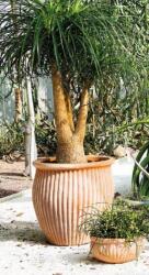 Deroma Vaso Alto Atlas set of 3 agyag növénytartó szett