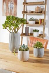 Soendgen Keramik Ronda Green Textured 14