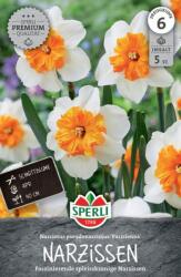 Sperli Premium Spleißkronige Narzisse Parisienne hasadt koronájú nárcisz virághagyma