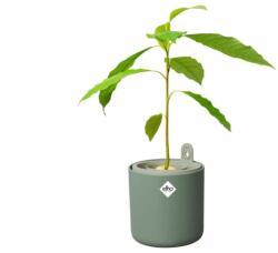 elho amazing avocado pot leaf green műanyag növénytartó