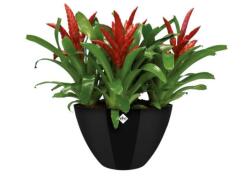 elho Brussels Diamond Oval High 36 Metall